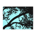 Turquoise Tree Postcard