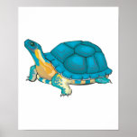 turquoise turtle posters