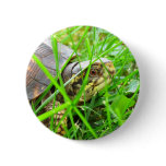 Turtle 1 buttons