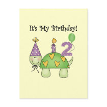 Turtle 2nd Birthday Tshirts and Gifts Post Card