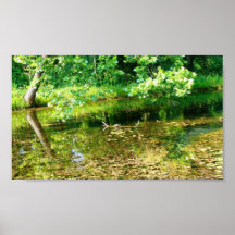 Turtle along Travertine Creek III - Colour Saturat Posters