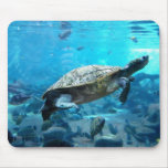 Turtle and fish mousepads