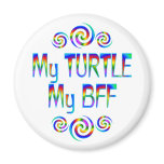 Turtle BFF magnets