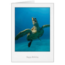 Turtle Birthday Card