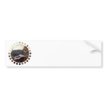 Turtle Bumper Sticker