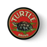 Turtle buttons