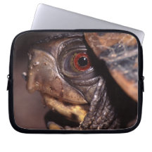 turtle computer sleeve