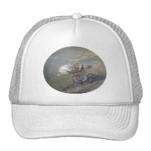 Turtle Duo Hat