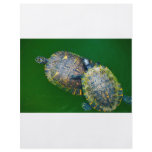 Turtle flyer