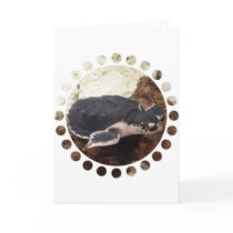 Turtle Greeting Card