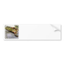 Turtle Identification Bumper Stickers
