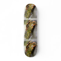 Turtle Identification Skateboard