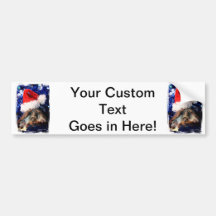 Turtle in Christmas Santa Hat Picture Bumper Sticker