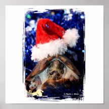 Turtle in Christmas Santa Hat Picture Print