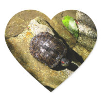 Turtle in the Sun Sticker