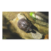 Turtle in the Sun Stickers