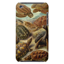 Turtle iPod Touch Barely There Case iPod Case-Mate Cases