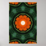 Turtle Iris posters