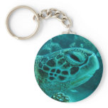 Turtle keychains