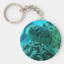 Turtle Keychains