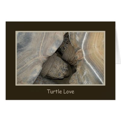Turtle Love Greeting Cards by Jack_of_Arts