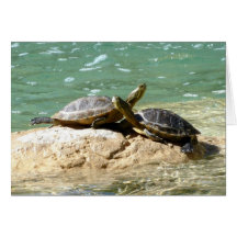 Turtle Love Card