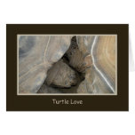 Turtle Love Greeting Cards