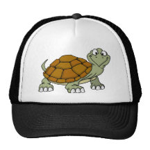 turtle mesh hat