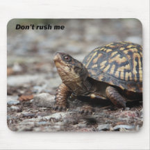 Turtle Mouse Pads
