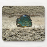 Turtle mousepad