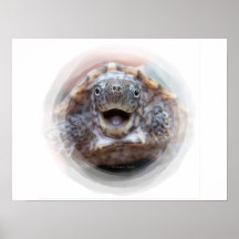 Turtle mouth open round frame Mad Musk turtle Print