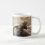 Turtle Mug