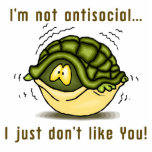turtle not antisocial just dont like you photo sculptures
