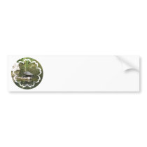 Turtle on a Rock Bumper Sticker
