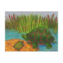 Turtle Pals