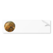 Turtle Photo Bumper Sticker