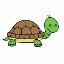 Turtle Photo Sculpture