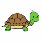 Turtle Photo Sculpture photo sculptures