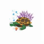 Turtle photo sculptures