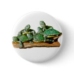 Turtle Picture buttons