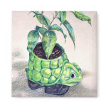 Turtle planter magnets