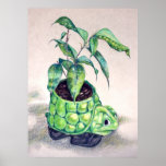 Turtle planter poster