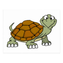 turtle postcard