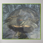 TURTLE  POSTER