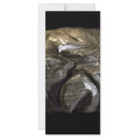 Turtle Power_David Hart rack cards
