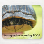 turtle, reaganphotography 2008 mouse mat