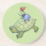 turtle Rider Coasters