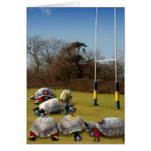 Turtle Rugby Cards