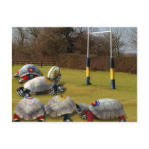 Turtle Rugby Post Cards