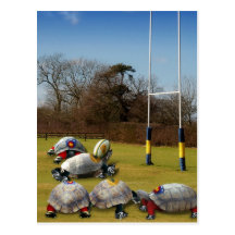 Turtle Rugby Postcards